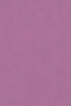Marmoleum Uni Concrete 3740 Purple Glow