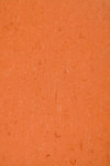 Colorette Neocare - 0016 Deep Orange