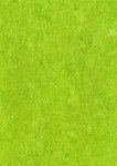 Marmorette Neocare 2,5mm - 0132 Lime Green